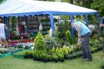 W Łosiowie trwają Międzynarodowe Targi Ogrodnicze