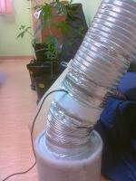 19-latek uprawiał konopie w namiocie