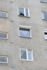 Paw siedział na parapecie okna na piątym piętrze