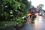 Nawałnica nad Opolem - wiatr przewracał drzewa i garaże