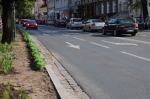 W centrum Opola wyrosła kapusta