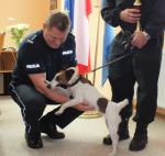 Baszta najlepsza wśród psów do wykrywania narkotyków