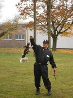 Baszta najlepsza wśród psów do wykrywania narkotyków
