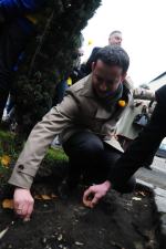 Akcja „Pola Nadziei” w Opolu. Urzędnicy sadzili żonkile