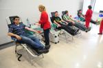 Studenci chętnie oddają krew dla potrzebujących