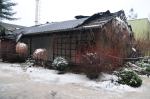 Około 300 zwierząt spłonęło w nocnym pożarze ogrodu zoologicznego