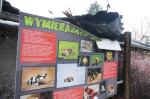 Około 300 zwierząt spłonęło w nocnym pożarze ogrodu zoologicznego