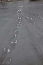 Ślizgawka przy ul. Barlickiego będzie otwarta od przyszłego tygodnia