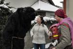 W Winowie trwają "Bery" czyli karnawałowe wodzenie niedźwiedzia
