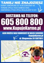 Sprawdź nowy sklep z karmą dla zwierząt !