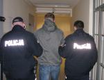Ponad 100 krzewów konopi na plantacji zlikwidowanej przez policję