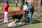 Festyn dla miłośników czworonogów w Parku Nadodrzańskim