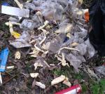 Śmietnisko na kąpielisku Bolko