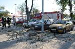 Spadająca gałąź uszkodziła trzy samochody
