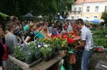 W Otmuchowie trwa Lato Kwiatów 2013
