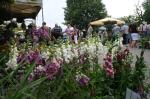 W Otmuchowie trwa Lato Kwiatów 2013