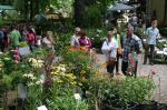 W Otmuchowie trwa Lato Kwiatów 2013