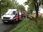 Renault uderzyło w drzewo i dachowało