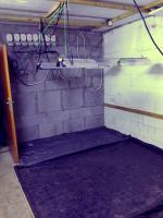 Prawie 2 tysiące krzaków konopi rosło na plantacji pod Grodkowem