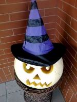 Halloweenowe dynie naszych czytelników