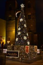 40 tysięcy światełek rozświetliło Brzeg