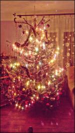 Zobacz świąteczne zdjęcia naszych Czytelników