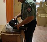 Opolscy celnicy przechwycili milion papierosów bez akcyzy