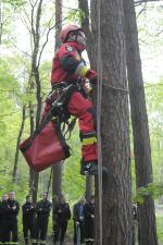 Strażacy, wojsko i policja ćwiczą w Polskiej Nowej Wsi