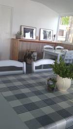 Rewolucja w Restauracji Laguna nad Jeziorem Dużym