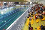 Najlepsi polscy pływacy rywalizują w Opolu