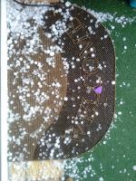 Gradobicia i ulewy nad Opolszczyzną