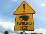 Uwaga na jeże na drodze. Nowy znak w Opolu. 