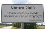 Natura 2000 na Opolszczyźnie. Motyl pod specjalną ochroną.
