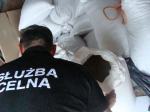 Celnicy przechwycili ponad 400 kilogramów tytoniu bez akcyzy