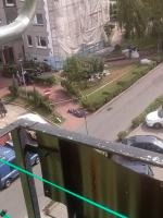 Dramatyczna akcja ratunkowa na ul. Jodłowej 