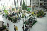 Moc zieleni i fachowych porad na targach Fiesta Garden
