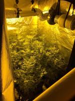 Ponad 3 kilogramy narkotyków zabezpieczone po akcjach policji