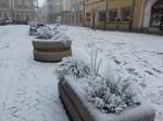 Pierwszy śnieg w Opolu. Ale tylko na dwa dni.