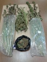 Ponad 8 kg marihuany w mieszkaniu Opolanina