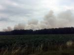 Płoną zboża i lasy na Opolszczyźnie