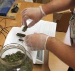 Rozbili namioty nad Odrą, mieli w nich 3 kg marihuany