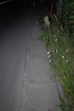 22-latek dachował w nocy samochodem osobowym