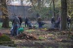 Kolejna akcja sprzątania cmentarza przy ul. Wrocławskiej za nami