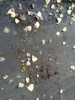 O krok od tragedii w Nysie. Cztery niewybuchy na drodze.