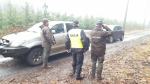 Leśnicy i policjanci połączyli siły przeciw złodziejom choinek