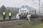 18 poszkodowanych w wypadku Pendolino w Schodni. Nowe informacje.