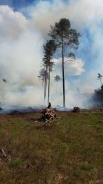 Strażacy walczą z pożarem lasu pod Szumiradem