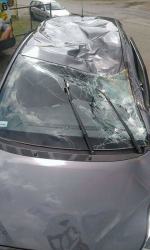 Na samochód spadło drzewo. Ranny kierowca