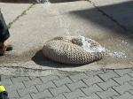 Niedopałek przyczyną pożaru pufy na balkonie? 