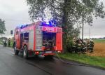 Pijany kierowca wylądował na drzewie. Cztery osoby w szpitalu